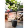Pottery Pots Natural Bucket ronde plantenbak zwart binnen